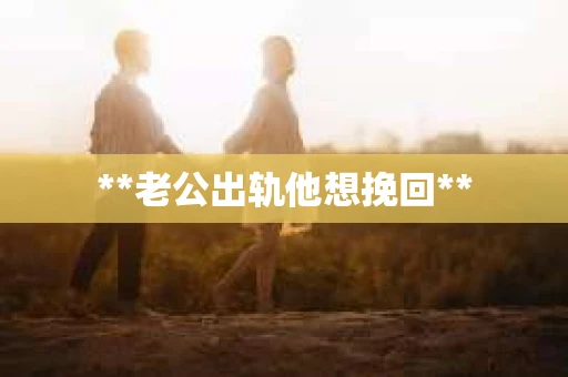 **老公出轨他想挽回**