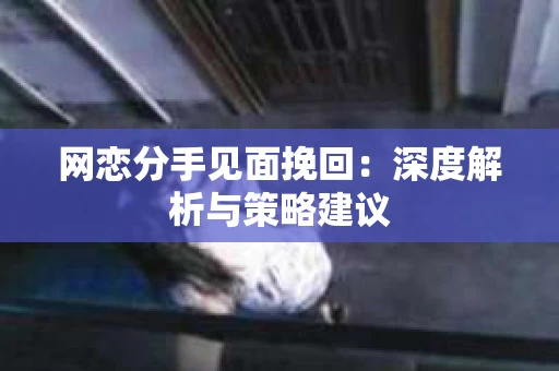 网恋分手见面挽回：深度解析与策略建议