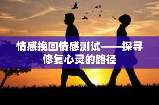 情感挽回情感测试——探寻修复心灵的路径