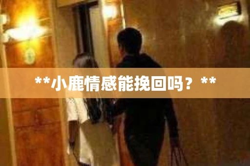 **小鹿情感能挽回吗？**