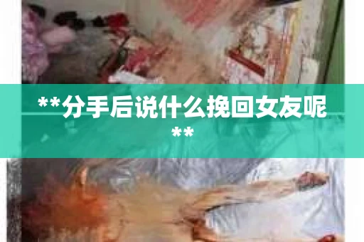 **分手后说什么挽回女友呢**