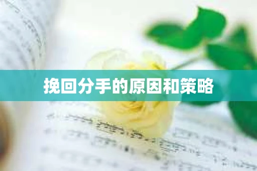 挽回分手的原因和策略