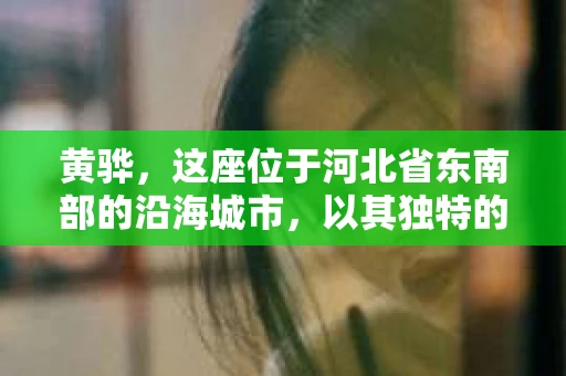 黄骅，这座位于河北省东南部的沿海城市，以其独特的地理位置和丰富的历史文化而闻名。然而，在这座城市中，还有一群人，他们以另一种方式默默守护着社会的公平与正义——私家侦探。今天，我们就来聊聊黄骅的私家侦探，看看他们是如何在这个城市中发挥作用的。