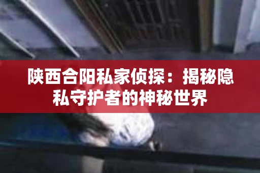 陕西合阳私家侦探：揭秘隐私守护者的神秘世界