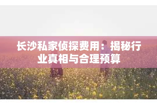 长沙私家侦探费用：揭秘行业真相与合理预算
