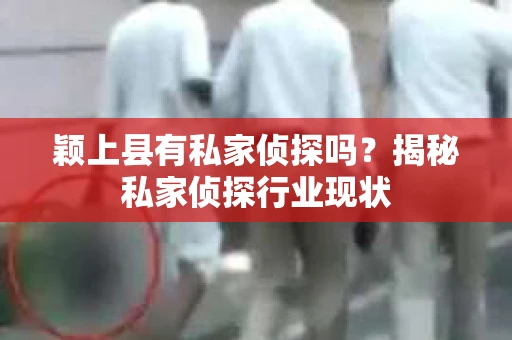 颖上县有私家侦探吗？揭秘私家侦探行业现状