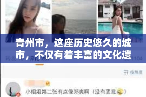 青州市，这座历史悠久的城市，不仅有着丰富的文化遗产，也有着现代生活的便捷。那么，问题来了——青州市有私家侦探公司吗？这个问题，对于需要侦探服务的人来说，无疑至关重要。接下来，我就来为大家揭开这个谜底。