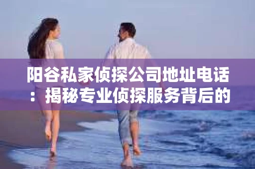 阳谷私家侦探公司地址电话：揭秘专业侦探服务背后的故事