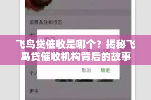 飞鸟贷催收是哪个？揭秘飞鸟贷催收机构背后的故事