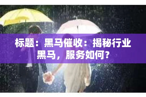 标题：黑马催收：揭秘行业黑马，服务如何？