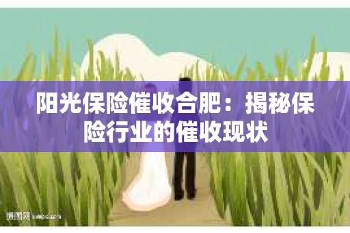 阳光保险催收合肥：揭秘保险行业的催收现状
