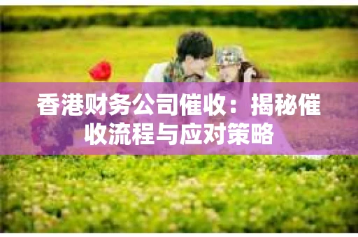 香港财务公司催收：揭秘催收流程与应对策略
