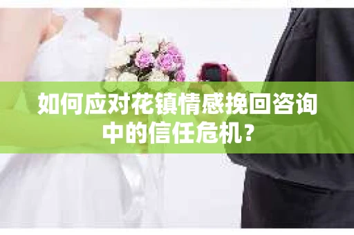 如何应对花镇情感挽回咨询中的信任危机？