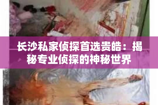 长沙私家侦探首选贵皓：揭秘专业侦探的神秘世界