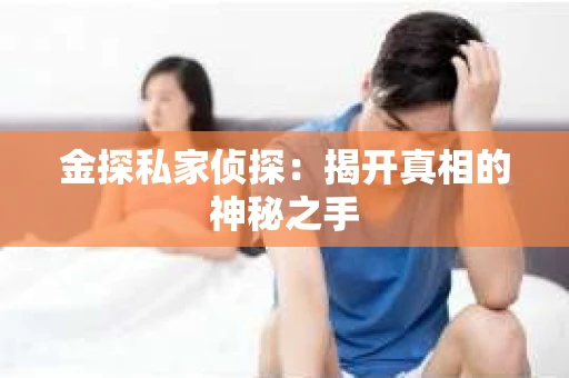 金探私家侦探：揭开真相的神秘之手