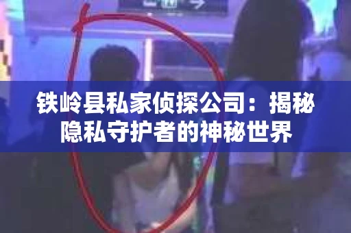 铁岭县私家侦探公司：揭秘隐私守护者的神秘世界