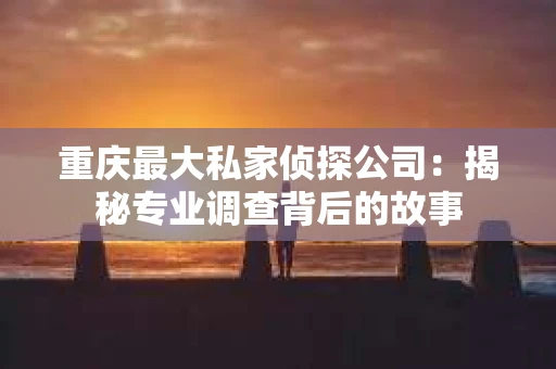 重庆最大私家侦探公司：揭秘专业调查背后的故事
