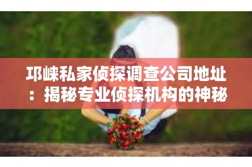 邛崃私家侦探调查公司地址：揭秘专业侦探机构的神秘面纱