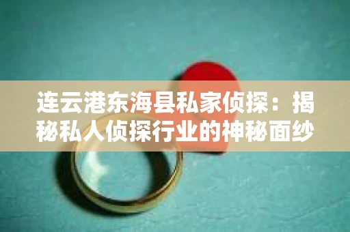 连云港东海县私家侦探：揭秘私人侦探行业的神秘面纱