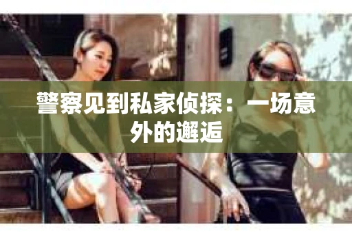 警察见到私家侦探：一场意外的邂逅