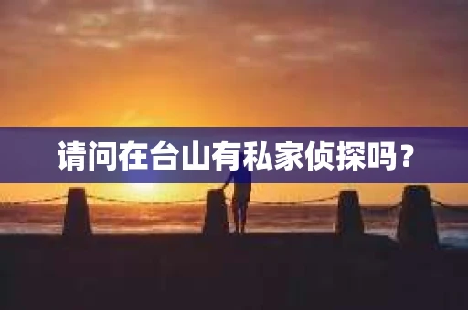 请问在台山有私家侦探吗？