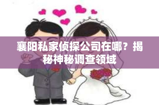 襄阳私家侦探公司在哪？揭秘神秘调查领域