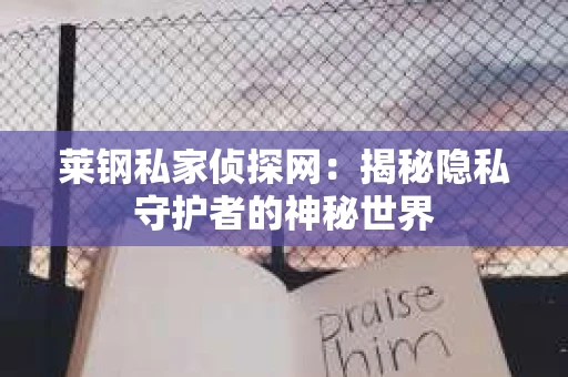 莱钢私家侦探网：揭秘隐私守护者的神秘世界