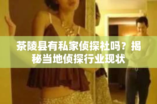 茶陵县有私家侦探社吗？揭秘当地侦探行业现状