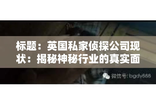 标题：英国私家侦探公司现状：揭秘神秘行业的真实面貌