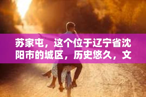苏家屯，这个位于辽宁省沈阳市的城区，历史悠久，文化底蕴深厚。近年来，随着社会的发展，人们对于私家侦探的需求也逐渐增加。那么，苏家屯有私家侦探吗？今天，我们就来聊聊这个话题。