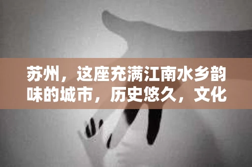 苏州，这座充满江南水乡韵味的城市，历史悠久，文化底蕴深厚。在这样一个充满故事的地方，私家侦探公司自然也不少。那么，苏州哪有私家侦探公司呢？今天，我就来给大家盘点一下。