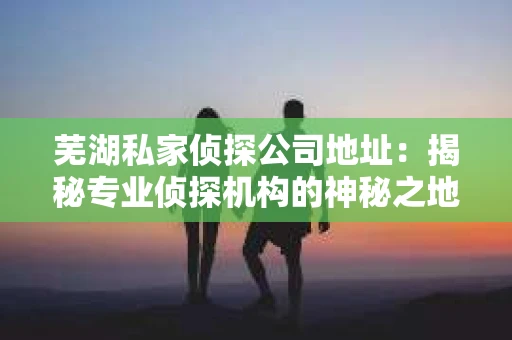 芜湖私家侦探公司地址：揭秘专业侦探机构的神秘之地