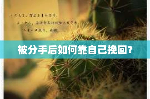 被分手后如何靠自己挽回？