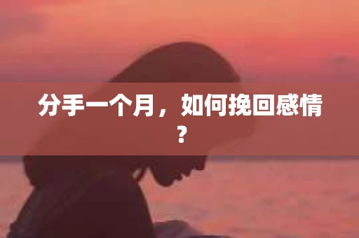 分手一个月，如何挽回感情？
