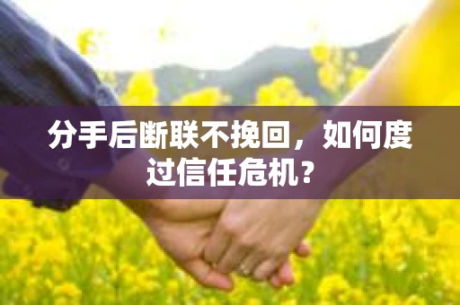 分手后断联不挽回，如何度过信任危机？