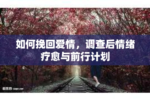 如何挽回爱情，调查后情绪疗愈与前行计划