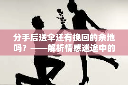 分手后送伞还有挽回的余地吗？——解析情感迷途中的决策