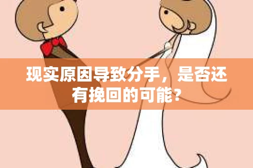 现实原因导致分手，是否还有挽回的可能？