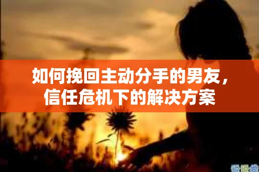 如何挽回主动分手的男友，信任危机下的解决方案