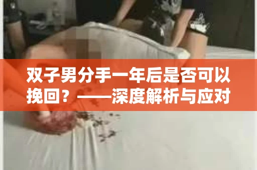 双子男分手一年后是否可以挽回？——深度解析与应对策略